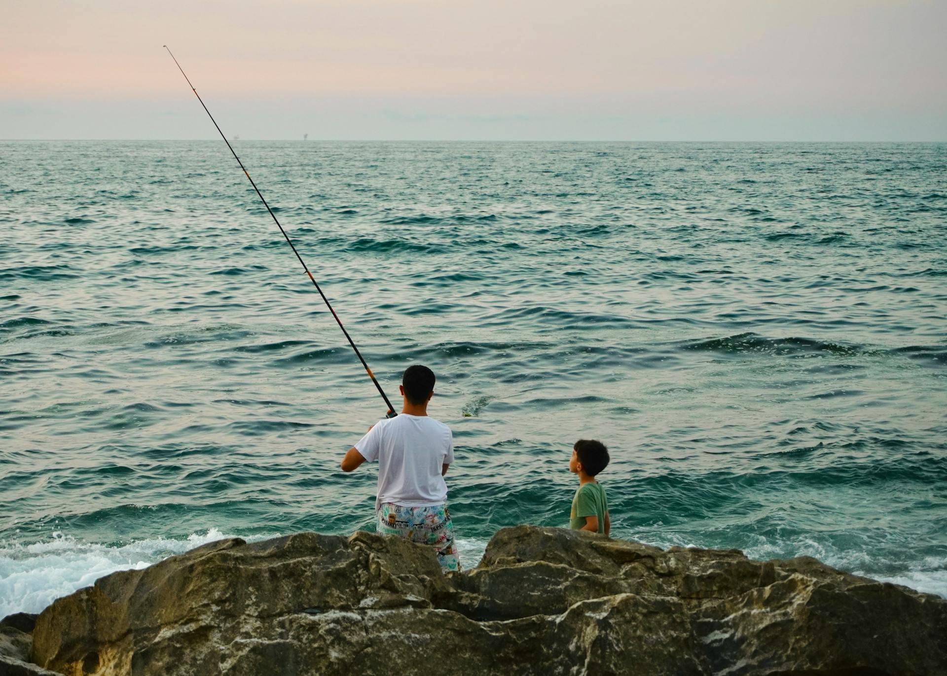 公共营养师行业最新发展趋势与市场动态